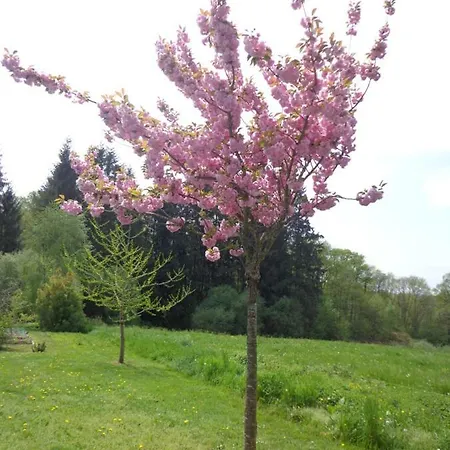 Chatelavy In A Regional Park